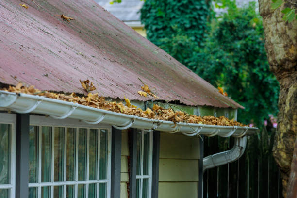 Not Cleaning your gutters